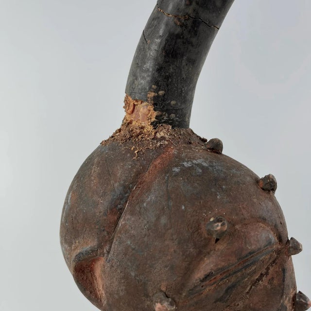 Brown Early 20th Century Songye Nkishi Power Fetish Figure For Sale - Image 8 of 12