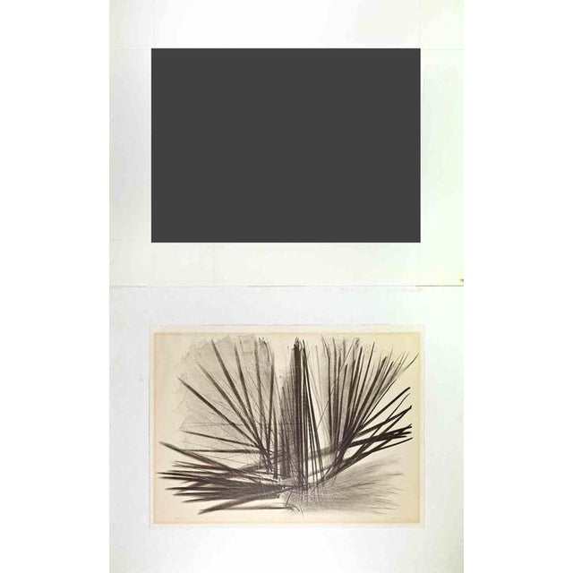 Lithograph in dark brown on BFK Rives paper, realized in 1963. Image dimension 53.2x73.6 cm. Hand signed and numbered....