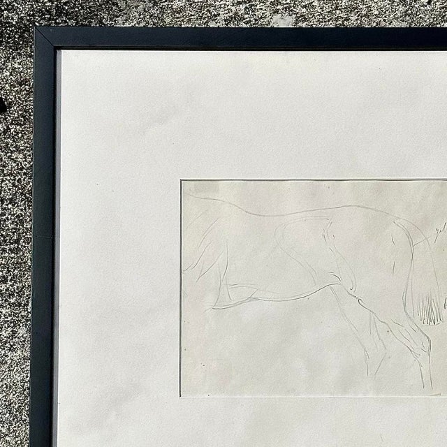 Vintage Framed Horse Body Sketch Drawing For Sale In West Palm - Image 6 of 12