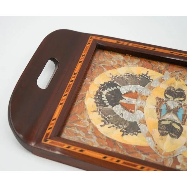 Vintage Morpho Butterfly Tray, 1940s For Sale - Image 3 of 11