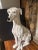 Italian Life-Size, Ceramic Sculpture of Greyhound For Sale - Image 16 of 16