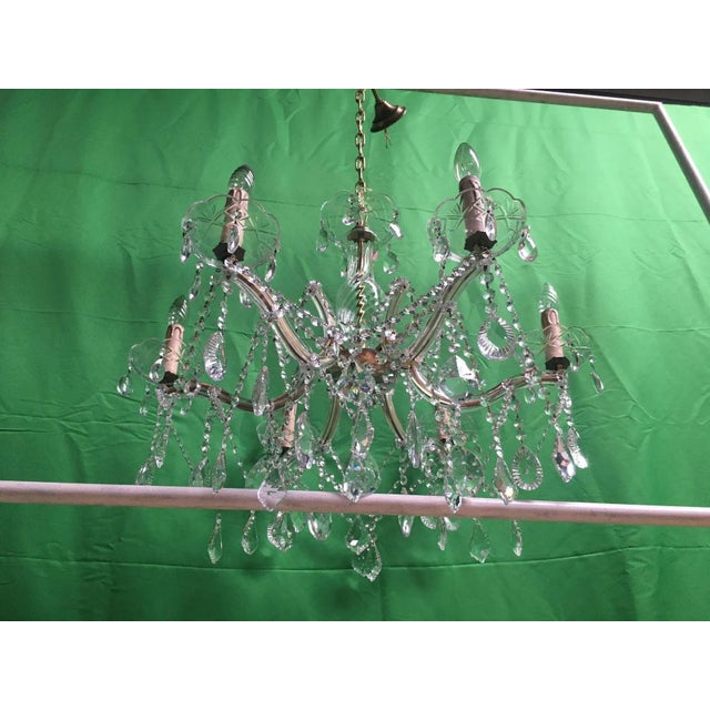 Crystal Chandelier, 1950s For Sale - Image 11 of 18
