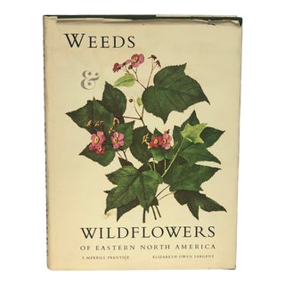 Vintage Wildflower Coffee Table Book For Sale