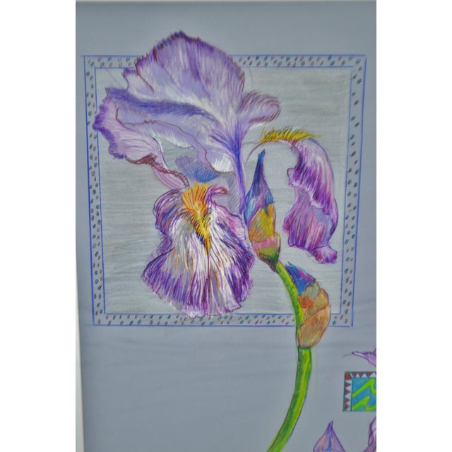 Vintage Framed Colored Pencil Iris Drawing Artist Signed Chairish