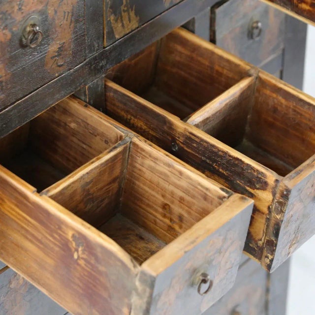 Wood 19th Century Chinese Apothecary Cabinet For Sale - Image 7 of 12