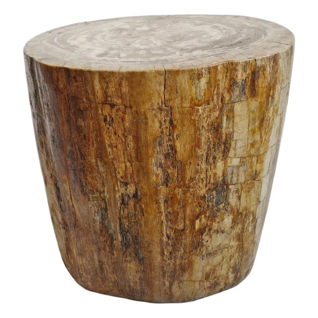 Petrified Wood Vintage Stump Side Table / Stool For Sale