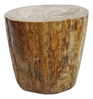 Petrified Wood Vintage Stump Side Table / Stool