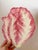 Late 20th Century Italian Majolica Radicchio Trivet For Sale - Image 5 of 7