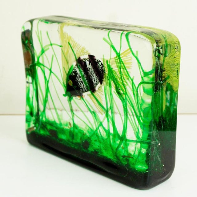 1960s Murano Glass Aquarium by Riccardo Licata for Gino Cenedese, Italy, 1960s For Sale - Image 5 of 11