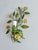 French Tole Painted Daisy Floral Wall Sconces, 1970, Set of 2 For Sale - Image 4 of 18