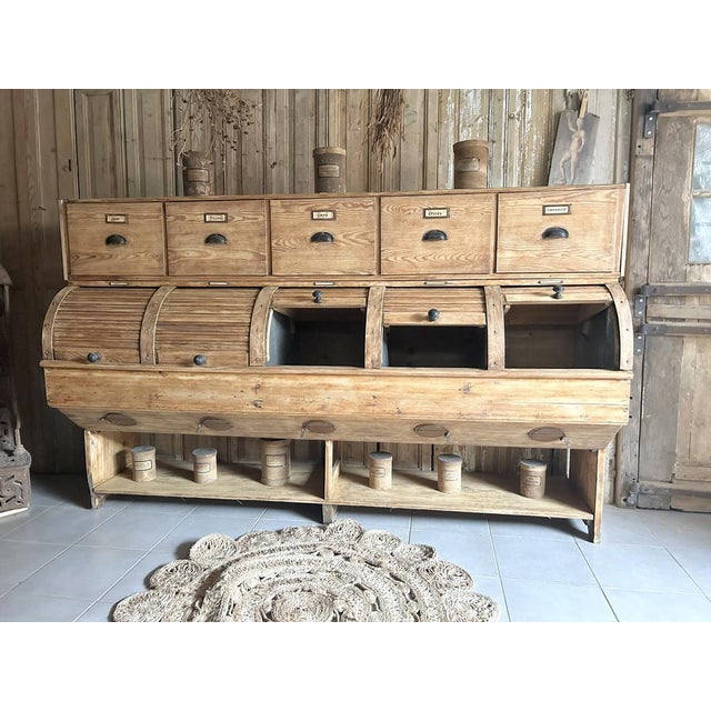Vintage Fir Seed Cabinet For Sale - Image 6 of 11