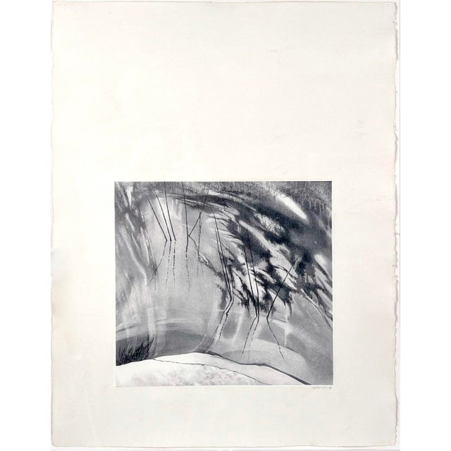 Detailed lithograph of a California Sierras pond and reflections by California author and artist Sally Warner (American,...