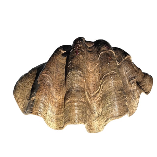 Hollywood Regency Large Faux Giant Clam Shell Centerpiece Bowl For Sale - Image 3 of 16