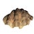 Hollywood Regency Large Faux Giant Clam Shell Centerpiece Bowl For Sale - Image 3 of 16