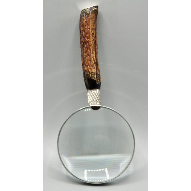Staffordshire Antique Sterling Silver & Natural Stag Horn Magnifying Glass Hallmarks For Sale - Image 4 of 8