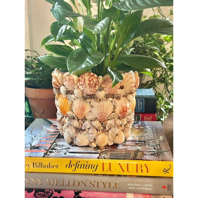 This shell encrusted planter reveals something different every time you view it. The entire surface of the terra cotta pot...