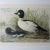 Late 19th Century A Pair of Alexander Pope Jr. Duck Chromolithographs, 1878 For Sale - Image 5 of 12