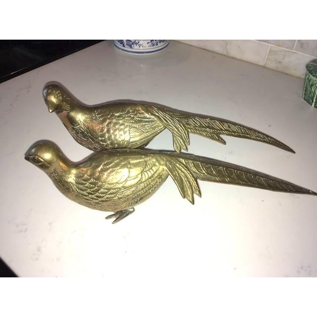 Brass Pair Vintage Mid Century Brass Pheasant Bird Statues For Sale - Image 8 of 12