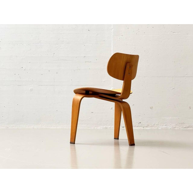 Egon Eiermann Vintage SE42 Chair by Egon Eiermann for Wilde & Spieth, 1940s For Sale - Image 4 of 18