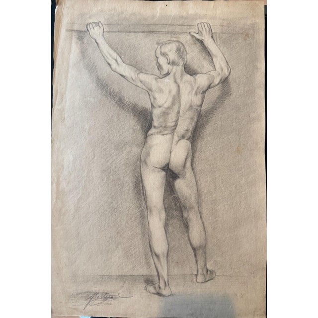 Berberich, Carl Heinz. This expressive work depicts a standing male nude from behind and is undated. The academic study...