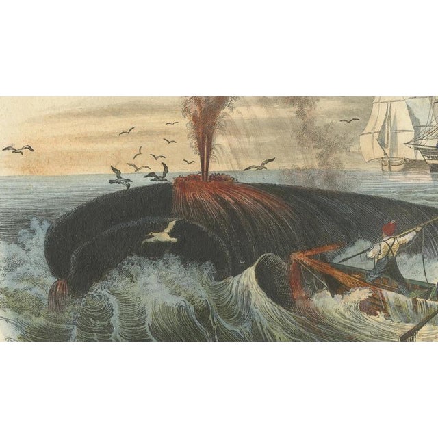 After Édouard Traviès, Whale Hunt, 1840, Hand-Colored Engraving For Sale - Image 4 of 9