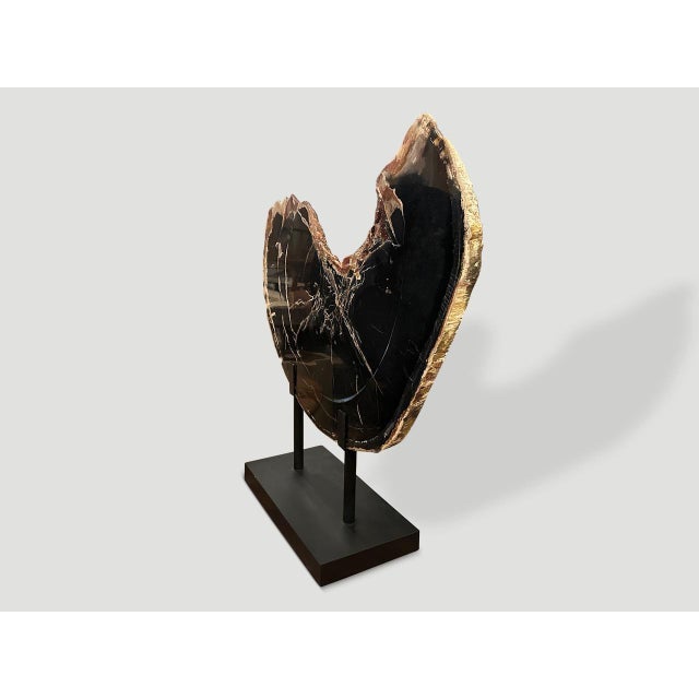 Contemporary Andrianna Shamaris Impressive High Quality Petrified Wood or Sculpture For Sale - Image 3 of 5