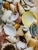 Palm Beach Seashell Encrusted Round Mirror Circa 1970s For Sale In Miami - Image 6 of 9