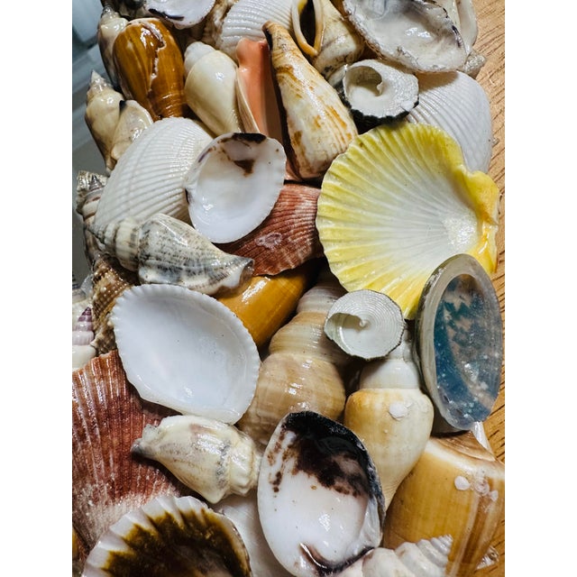 Vintage Palm Beach Seashell Encrusted Round Mirror For Sale In Miami - Image 6 of 9