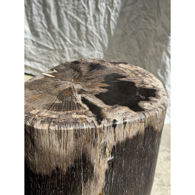 Wood Brown Multicolored Petrified Wood Side Table For Sale - Image 7 of 18