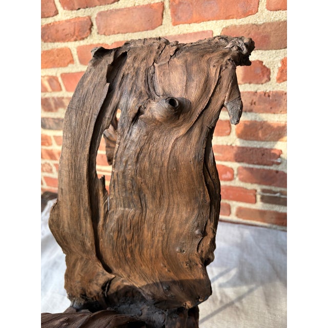 Brown Vintage Teak Wood Root Sculpture on Metal Stand For Sale - Image 8 of 17