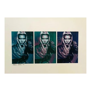 Rebecca Blake Grace Jones Triptych, Gelatin Color Print For Sale