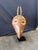 Vintage African Kwele-Style Hand-Carved Wood Antelope Mask on Stand For Sale - Image 4 of 8