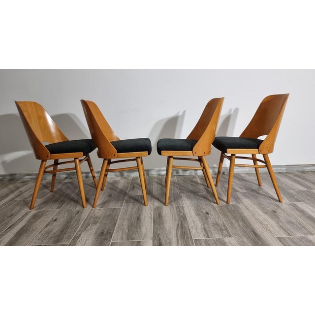 Dining Chairs by Radomir Hoffman for Ton, 1950s, Set of 4 For Sale - Image 11 of 14