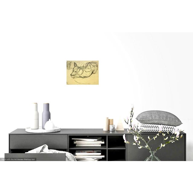 Happy, lively, contemporary charcoal on manilla paper drawing of a sleeping dog. Artist Martha Holden trained at Cranbrook...