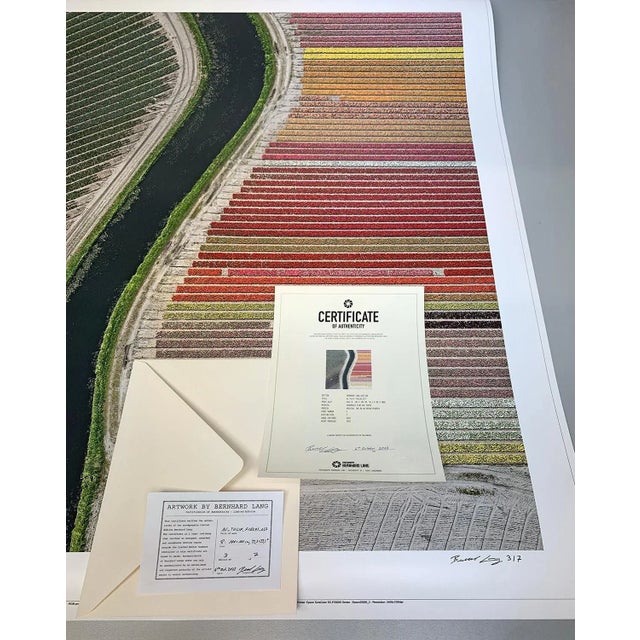Green "AV_Tulip_Fields_027" Contemporary Limited Edition Photography Fine Art Print by Bernhard Lang For Sale - Image 8 of 10