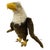 Limited Edition 00493/1500 Bald Eagle from Steiff, 2003 For Sale - Image 13 of 13