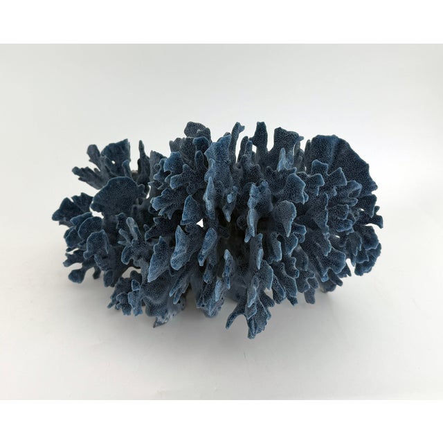 Late 20th Century Natural Blue Coral Specimen Coastal Decor For Sale - Image 5 of 9