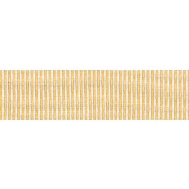 Contemporary Schumacher Knox Tape in Gold For Sale - Image 3 of 3