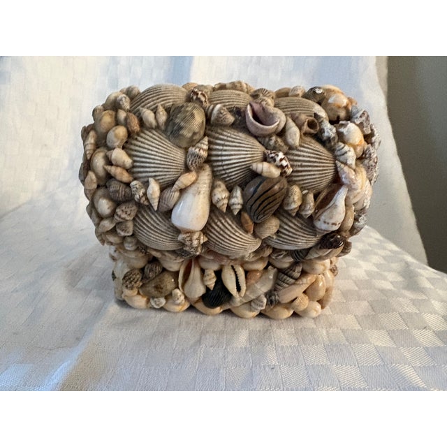 1920s 1920s Sea Shell Encrusted Domed Lid Box For Sale - Image 5 of 8