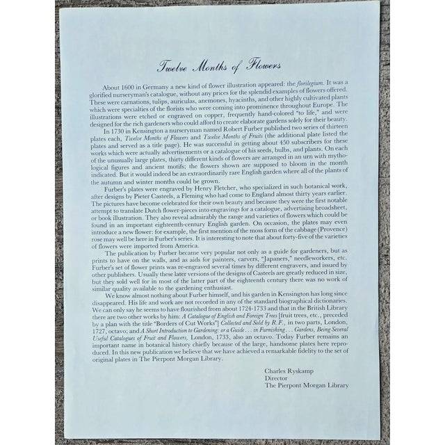 1980s Vintage Robert Furber May Botanical From "Twelve Months of Flowers” Pierpont Morgan Library Print For Sale - Image 12 of 12