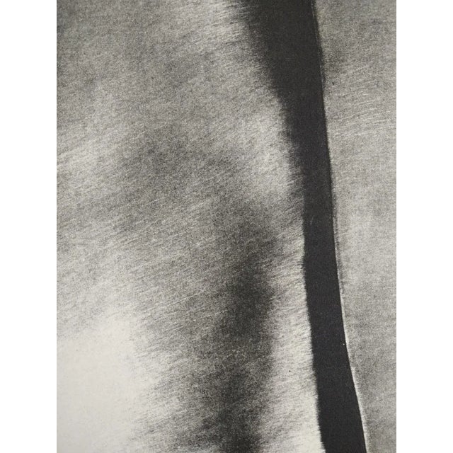 Maribel Nazco, Composition, 1979, Lithograph For Sale - Image 3 of 7