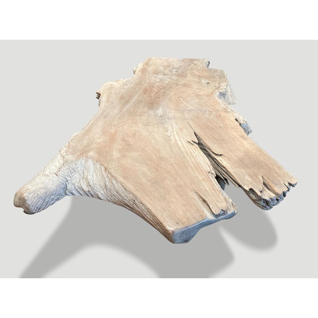2010s Andrianna Shamaris St. Barts Teak Wood Single Slab Coffee Table For Sale - Image 5 of 5