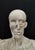 Jean-Antoine Houdon, Anatomical Bust from the Houdon Model, Carrara Marble For Sale - Image 6 of 12