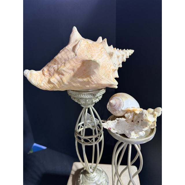 Step into a studio-turned-sanctuary. This sale features a series of original works born from a fascination with the ornate...