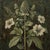 Set of 12 - 72' X 54' Gallery Wall Installation Original Botanical Prints - Dark Green Grisaille, Unframed - Herbarium For Sale - Image 6 of 12