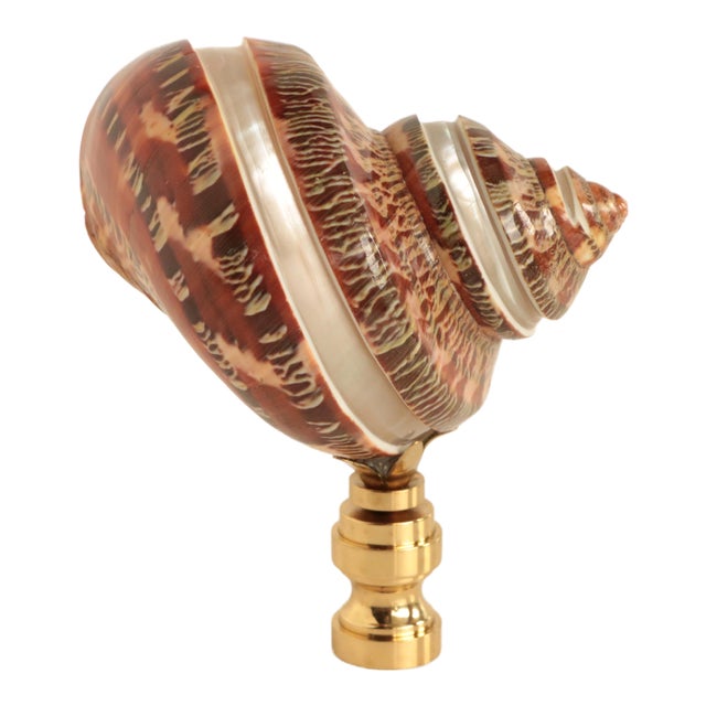 Mother of Pearl Banded Shell Lamp Finial | Chairish