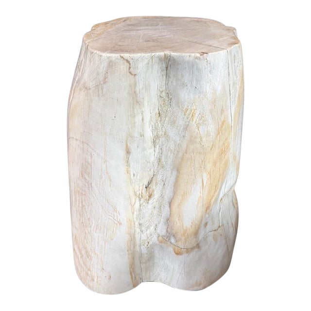 Andrianna Shamaris Minimalist Modern Organic Petrified Wood Side Table For Sale