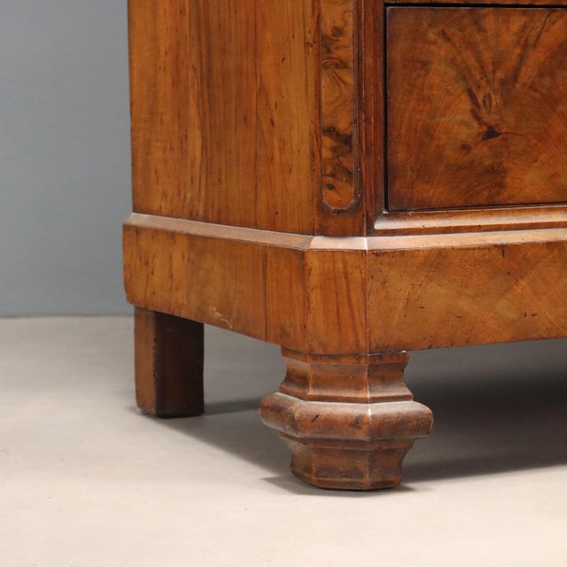 Wood Umbertine Wardrobe in Veneered Walnut For Sale - Image 7 of 9