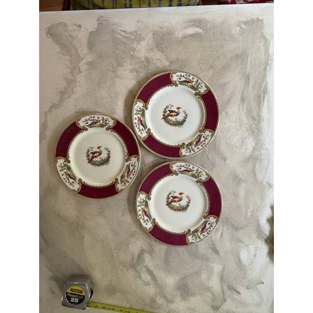 Myott Son & Co. 1950s Myott Chelsea Bird Dinner Plates 10 5/8” Burgundy Transferware England - Set of Three (3) For Sale - Image 4 of 8