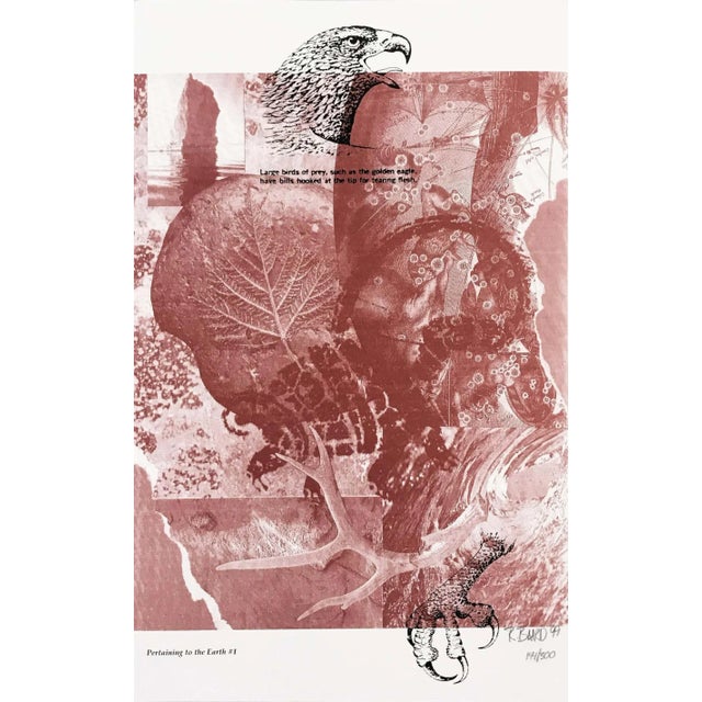 "Pertaining to the Earth #1" Contemporary Abstract Numbered Lithograph by Rebecca Baird For Sale